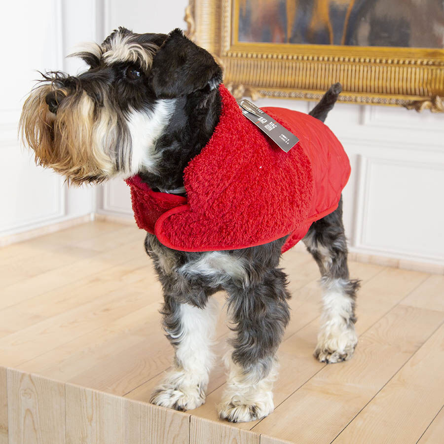 Outech Bi-Texture Casaco Vermelho para c&atilde;es, , large Imagem n&uacute;mero 10